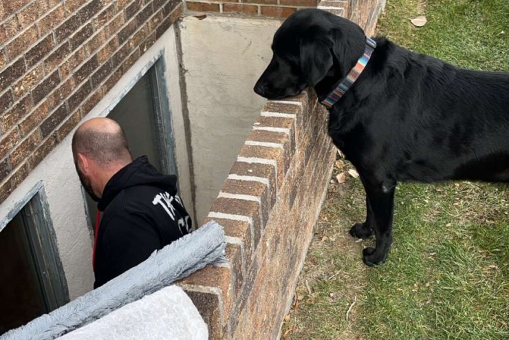 Goose supervising Joes work